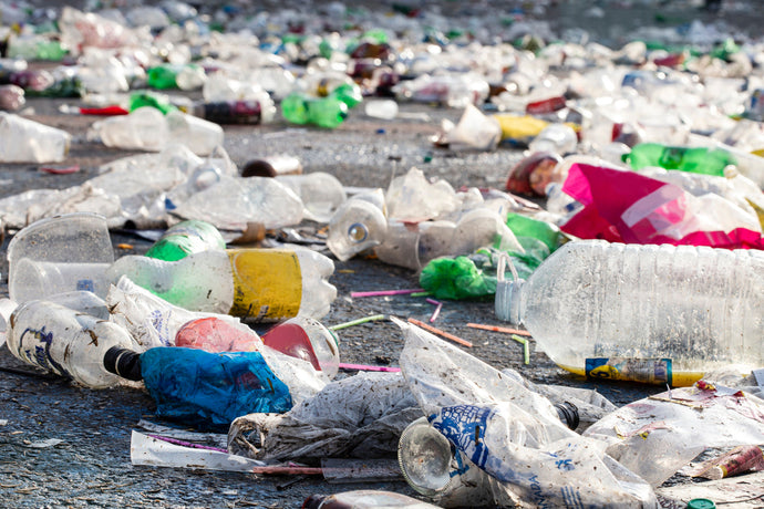 Verkauf von Einweg-Plastikflaschen beim Glastonbury Festival verboten